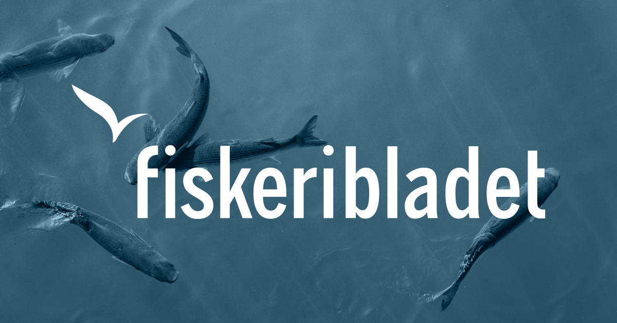 www.fiskeribladet.no